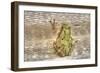 Tree Frog-Robert Goldwitz-Framed Photographic Print