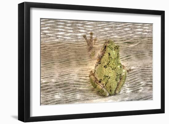 Tree Frog-Robert Goldwitz-Framed Photographic Print