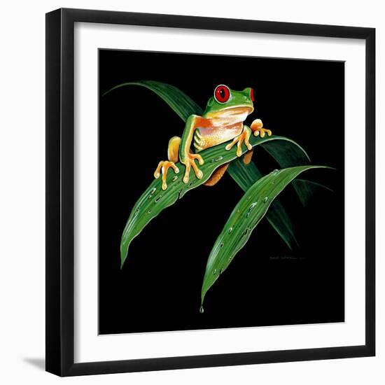 Tree Frog-null-Framed Premium Giclee Print