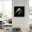 Tree Frog-null-Framed Stretched Canvas displayed on a wall