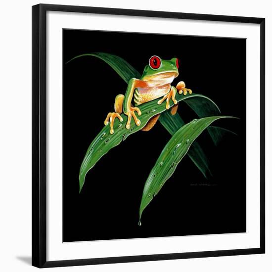 Tree Frog-null-Framed Giclee Print