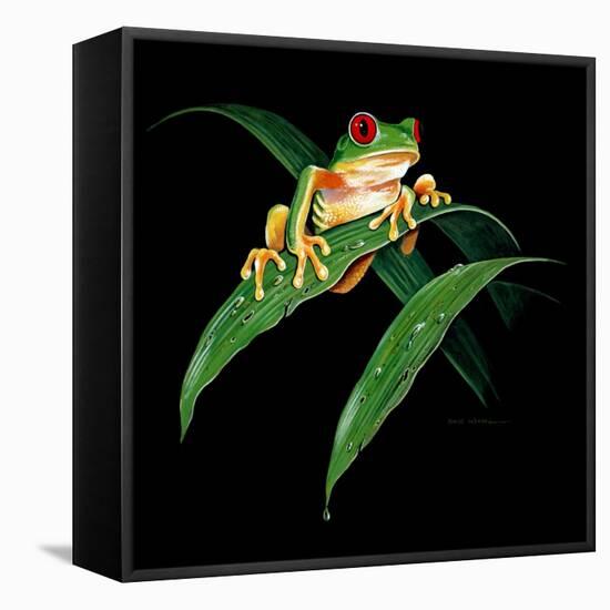 Tree Frog-null-Framed Stretched Canvas