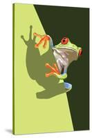 Tree Frog-Lantern Press-Stretched Canvas