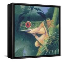 Tree Frog-Durwood Coffey-Framed Stretched Canvas