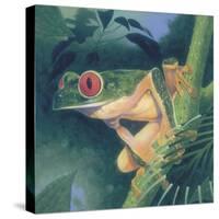 Tree Frog-Durwood Coffey-Stretched Canvas