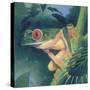 Tree Frog-Durwood Coffey-Stretched Canvas