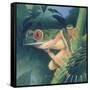 Tree Frog-Durwood Coffey-Framed Stretched Canvas