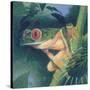 Tree Frog-Durwood Coffey-Stretched Canvas