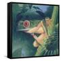 Tree Frog-Durwood Coffey-Framed Stretched Canvas