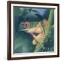 Tree Frog-Durwood Coffey-Framed Giclee Print