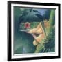 Tree Frog-Durwood Coffey-Framed Giclee Print