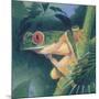 Tree Frog-Durwood Coffey-Mounted Giclee Print