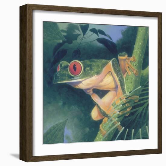 Tree Frog-Durwood Coffey-Framed Giclee Print