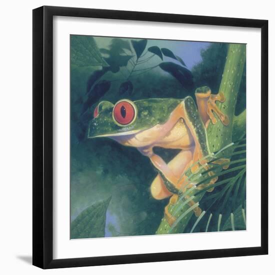 Tree Frog-Durwood Coffey-Framed Giclee Print