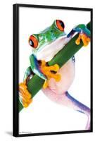 Tree Frog-Trends International-Framed Poster