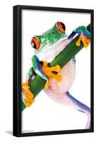Tree Frog-Trends International-Framed Poster