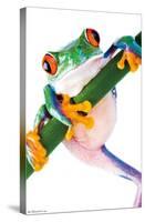 Tree Frog-Trends International-Stretched Canvas