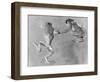 Tree Frogs-null-Framed Photographic Print