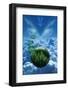 Tree Globes Floating over Clouds-Bill Ross-Framed Photographic Print