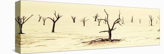 Tree Graveyard-Howard Ruby-Stretched Canvas