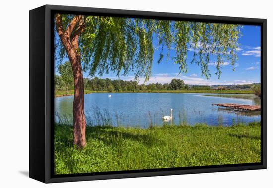 Tree, Green Grass and Small Lake on Background in Piedmont, Northern Italy.-rglinsky-Framed Stretched Canvas