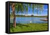 Tree, Green Grass and Small Lake on Background in Piedmont, Northern Italy.-rglinsky-Framed Stretched Canvas