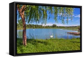 Tree, Green Grass and Small Lake on Background in Piedmont, Northern Italy.-rglinsky-Framed Stretched Canvas