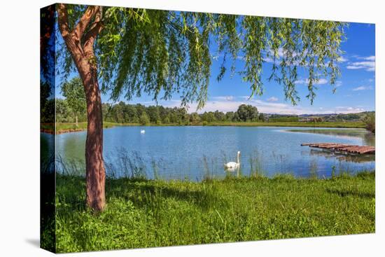 Tree, Green Grass and Small Lake on Background in Piedmont, Northern Italy.-rglinsky-Stretched Canvas