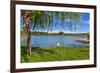 Tree, Green Grass and Small Lake on Background in Piedmont, Northern Italy.-rglinsky-Framed Photographic Print