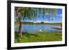 Tree, Green Grass and Small Lake on Background in Piedmont, Northern Italy.-rglinsky-Framed Photographic Print