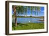 Tree, Green Grass and Small Lake on Background in Piedmont, Northern Italy.-rglinsky-Framed Photographic Print