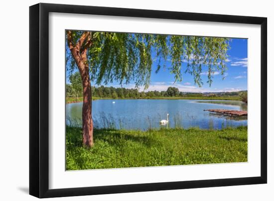 Tree, Green Grass and Small Lake on Background in Piedmont, Northern Italy.-rglinsky-Framed Photographic Print