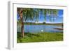 Tree, Green Grass and Small Lake on Background in Piedmont, Northern Italy.-rglinsky-Framed Photographic Print