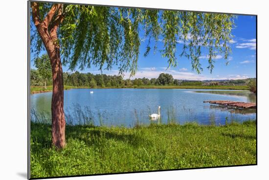 Tree, Green Grass and Small Lake on Background in Piedmont, Northern Italy.-rglinsky-Mounted Photographic Print