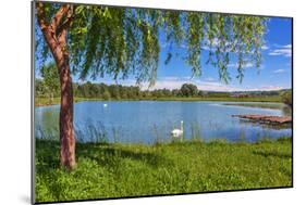 Tree, Green Grass and Small Lake on Background in Piedmont, Northern Italy.-rglinsky-Mounted Photographic Print