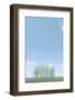 Tree Group and Sky-null-Framed Photographic Print