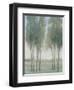 Tree Grove I-Tim OToole-Framed Art Print