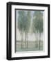 Tree Grove I-Tim OToole-Framed Art Print