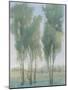 Tree Grove II-Tim OToole-Mounted Art Print