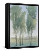 Tree Grove II-Tim OToole-Framed Stretched Canvas