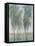 Tree Grove II-Tim OToole-Framed Stretched Canvas