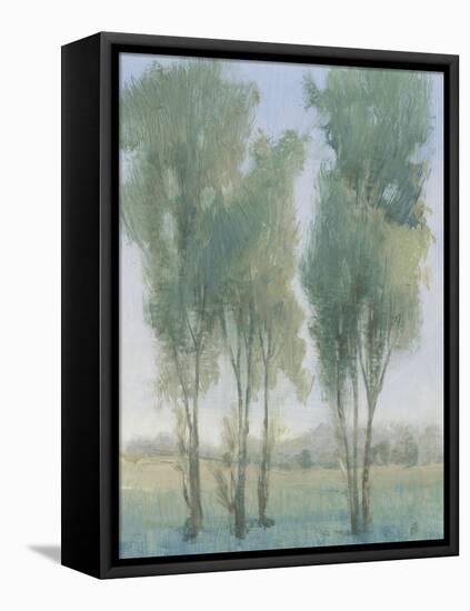 Tree Grove II-Tim OToole-Framed Stretched Canvas