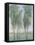 Tree Grove II-Tim OToole-Framed Stretched Canvas