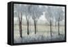 Tree Grove II-Tim O'toole-Framed Stretched Canvas