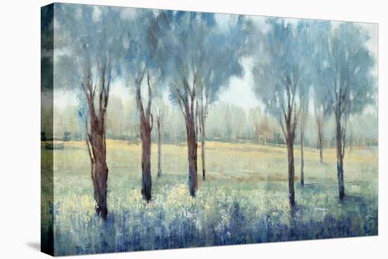 Tree Grove-Tim O'toole-Stretched Canvas
