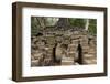 Tree Growing on Ruins of Ancient Spean Thmor Bridge, Siem Reap-David Wall-Framed Photographic Print