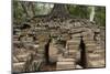 Tree Growing on Ruins of Ancient Spean Thmor Bridge, Siem Reap-David Wall-Mounted Photographic Print