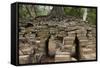 Tree Growing on Ruins of Ancient Spean Thmor Bridge, Siem Reap-David Wall-Framed Stretched Canvas
