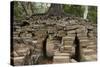 Tree Growing on Ruins of Ancient Spean Thmor Bridge, Siem Reap-David Wall-Stretched Canvas