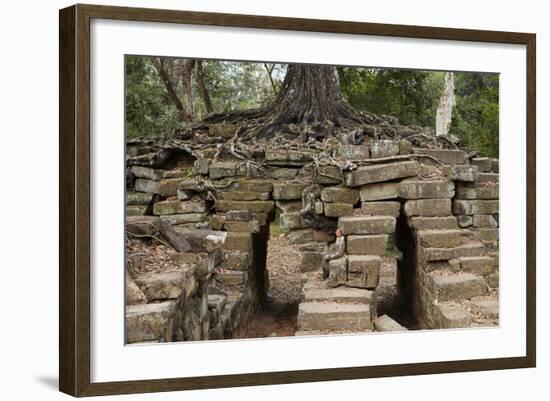 Tree Growing on Ruins of Ancient Spean Thmor Bridge, Siem Reap-David Wall-Framed Photographic Print